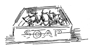 Cute soapbox with kittens